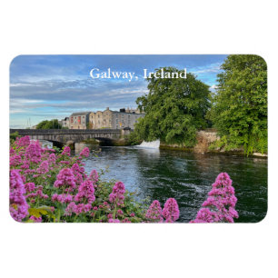 Íman Flores Coloridas no rio Corrib Galway, Irlanda 2