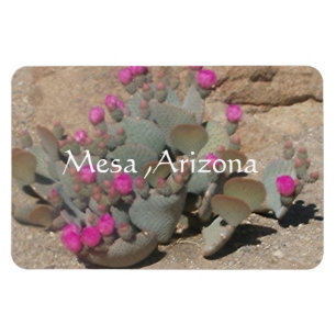 Íman Flores cor-de-cacto cor-de-rosa floridas em Mesa,