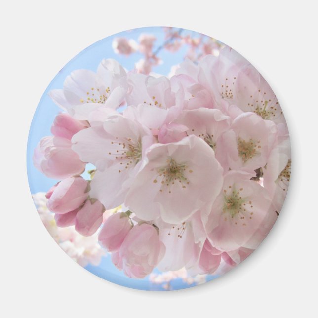 Íman Flores Cor-de-Rosa Céu Azul.  (Frente)