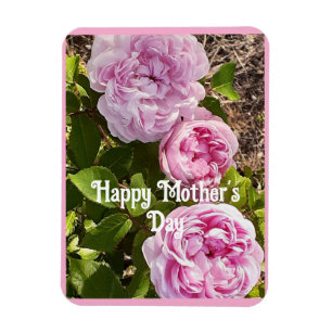 Íman Flores Cor-de-Rosa Floral Rosa Rosas Cartão do Dia