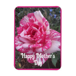 Íman Flores Cor-de-Rosa Floral Rosa Rosas Cartão do Dia