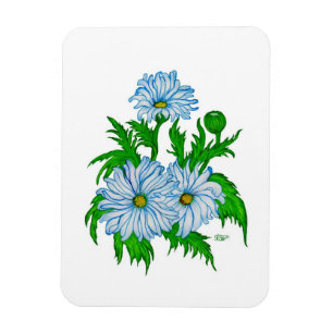 Íman Flores da Daisies