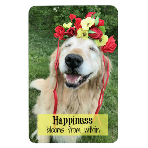 Íman Flores da felicidade do golden retriever de dentro