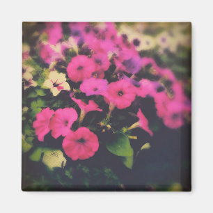 Íman Flores da Grocery Store