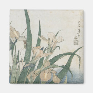 Íman Flores da íris e gafanhoto, c.1830-31
