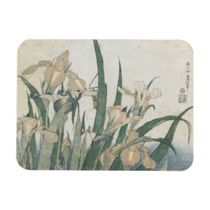Íman Flores da íris e gafanhoto, c.1830-31