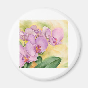 Íman Flores da orquídea do Phalaenopsis - multi