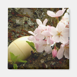 Íman Flores da páscoa