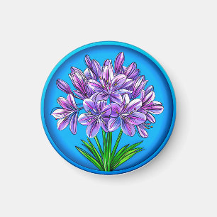 Íman Flores de Agapanthus 🌸✨ Elegância Floral Azul Ous