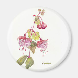 Íman Flores de aquarela de Fushia, vermelho e rosa
