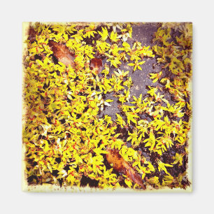 Íman Flores de Arte Quirky no Filtro Retro Terrestre
