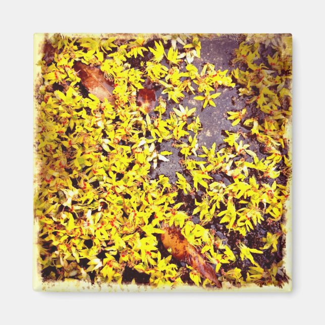 Íman Flores de Arte Quirky no Filtro Retro Terrestre (Frente)