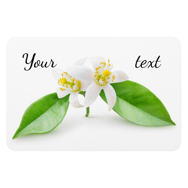 Íman Flores de árvore laranja (Horizontal)