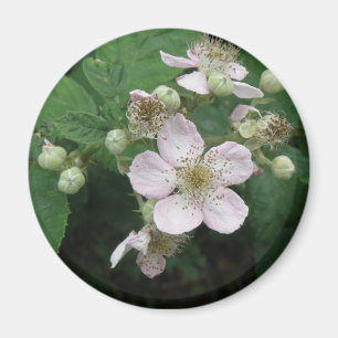 Íman Flores de Blackberry Magnet