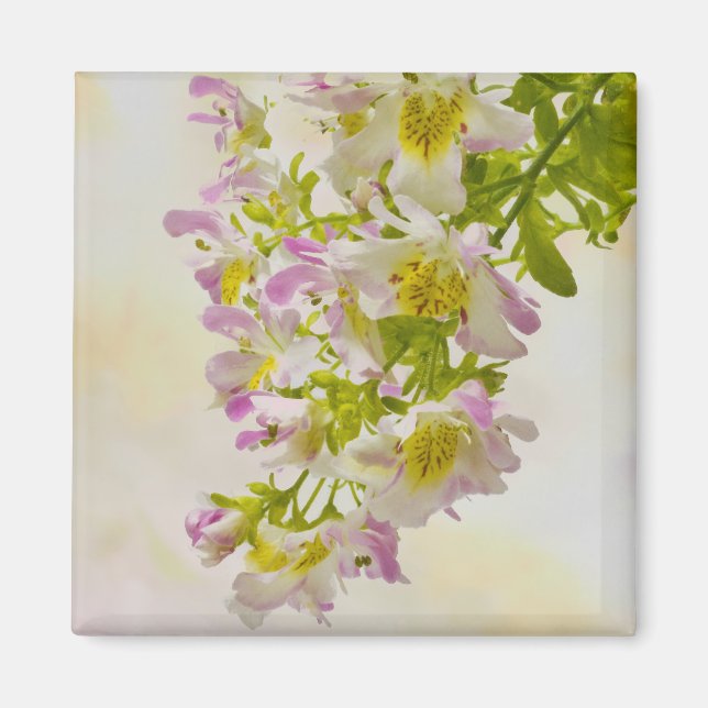 Íman Flores de borboletas (Frente)