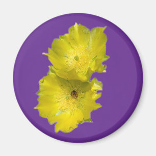 Íman Flores de Cactus