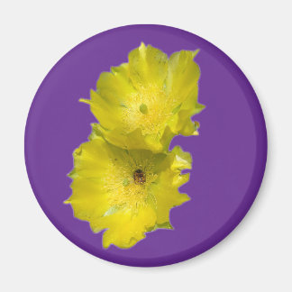 Íman Flores de Cactus