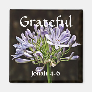 Íman Flores de Fé Jonah Agapanthus Magnet