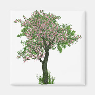 Íman Flores de Flores de Cereja Folhas de Árvore Folha