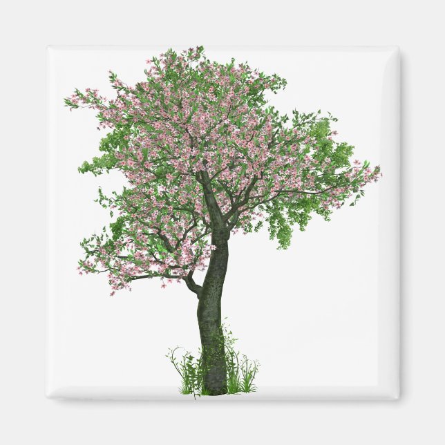 Íman Flores de Flores de Cereja Folhas de Árvore Folhas (Frente)
