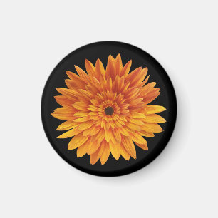 Íman flores de girassol