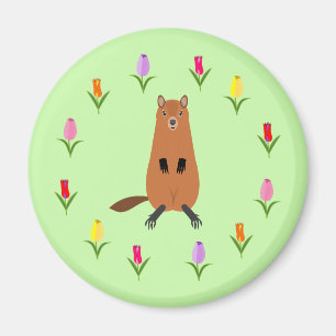 Íman Flores de Groundhog e Tulipas