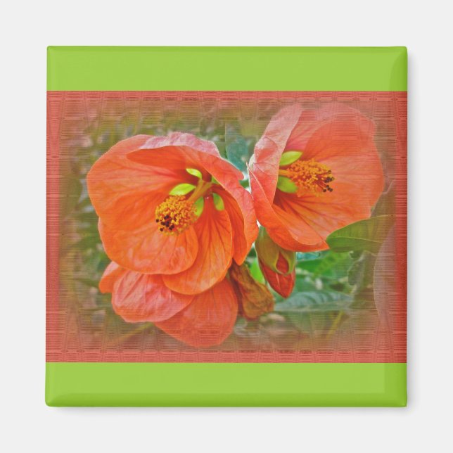 Íman Flores de Hibisco Laranja (Frente)