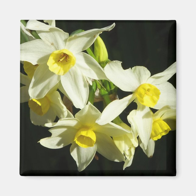 Íman Flores de inverno (Frente)