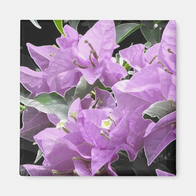 Íman Flores de lavanda (Frente)