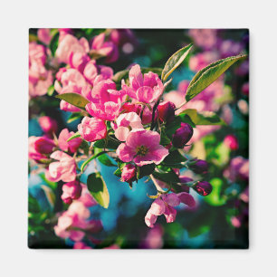 Íman Flores De Maçã De Caranguejo Rosa