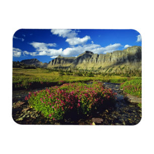 Íman Flores de macaco em Logan Pass no Glacier National