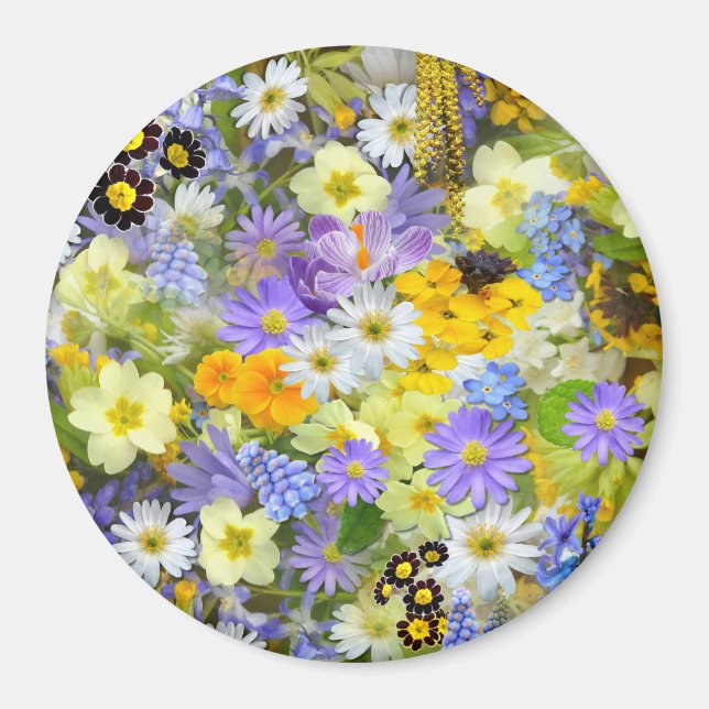 Íman Flores de Margarida, Primula, Narciso (Frente)
