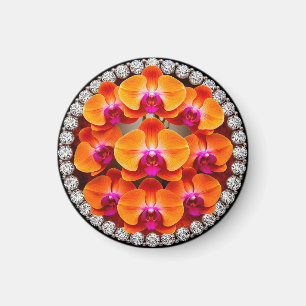 Íman Flores de Orquídea Incorporadas em Cristais