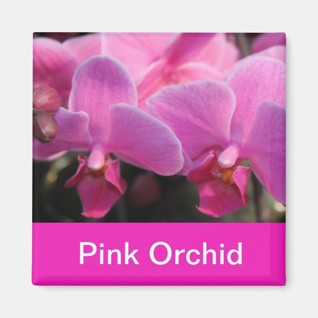 Íman flores de orquídea rosa (Frente)