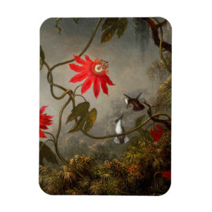 Íman Flores de Paixão com Pássaros Hummingbird