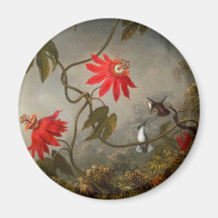 Íman Flores de Paixão com Pássaros Hummingbird