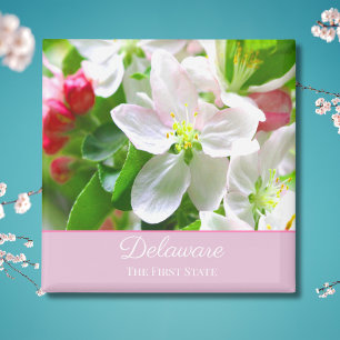 Íman Flores de Pessegueiro de Delaware Primeiro Estado