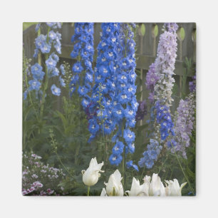 Íman Flores de primavera ao longo de um caminho de jard