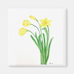 Íman Flores de primavera floral amarelas daffodils