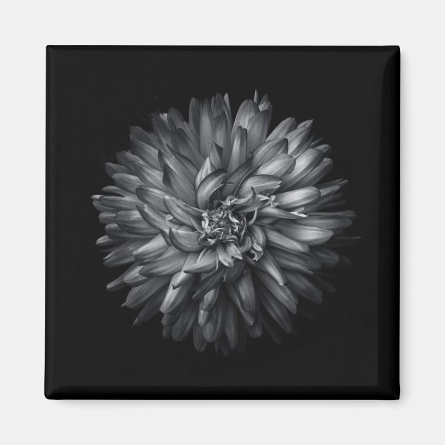 Íman Flores De Quintal A Preto E Branco 20 (Frente)