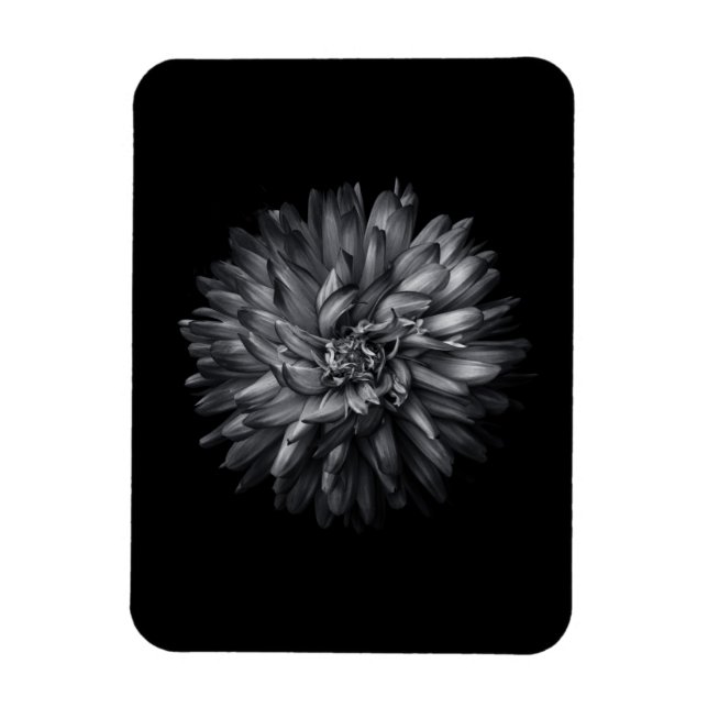 Íman Flores De Quintal A Preto E Branco 20 (Vertical)