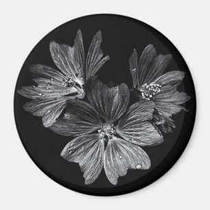 Íman Flores De Quintal A Preto E Branco N.O 11