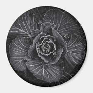 Íman Flores De Quintal A Preto E Branco No 108