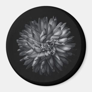 Íman Flores De Quintal Em Preto E Branco 20