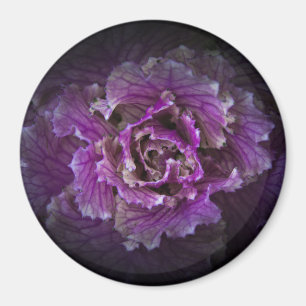 Íman Flores De Quintal Sem Versão De 42 Cores