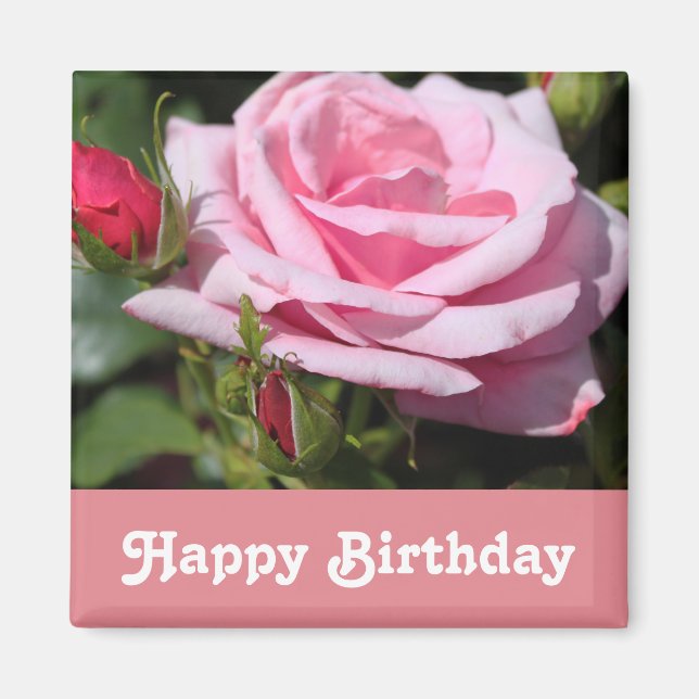 Íman flores de rosa cor-de-rosa feliz aniversário. com  (Frente)