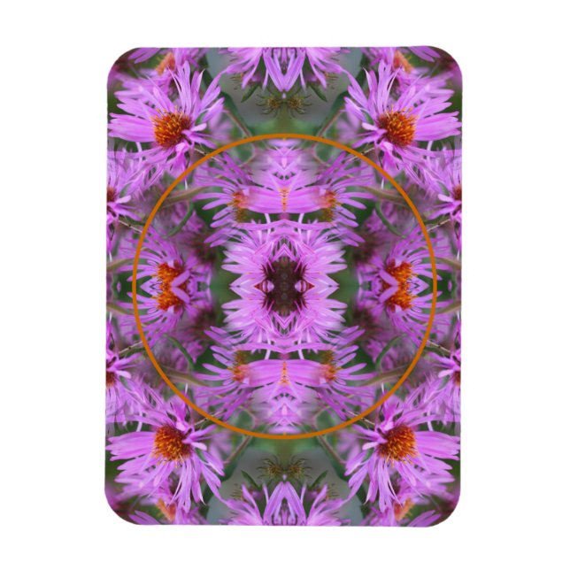 Íman Flores do New England Aster Rosa Adicionam Sua Fot (Vertical)