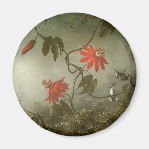Íman Flores e colibris da paixão por Martin J Heade