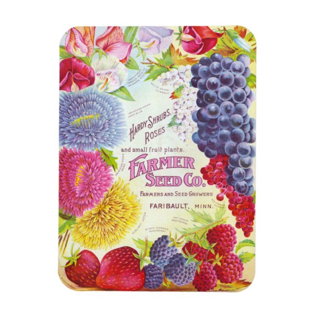 Íman Flores e Frutas de Vintage (Vertical)
