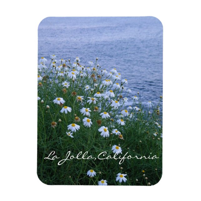 Íman Flores e oceano em La Jolla (Vertical)